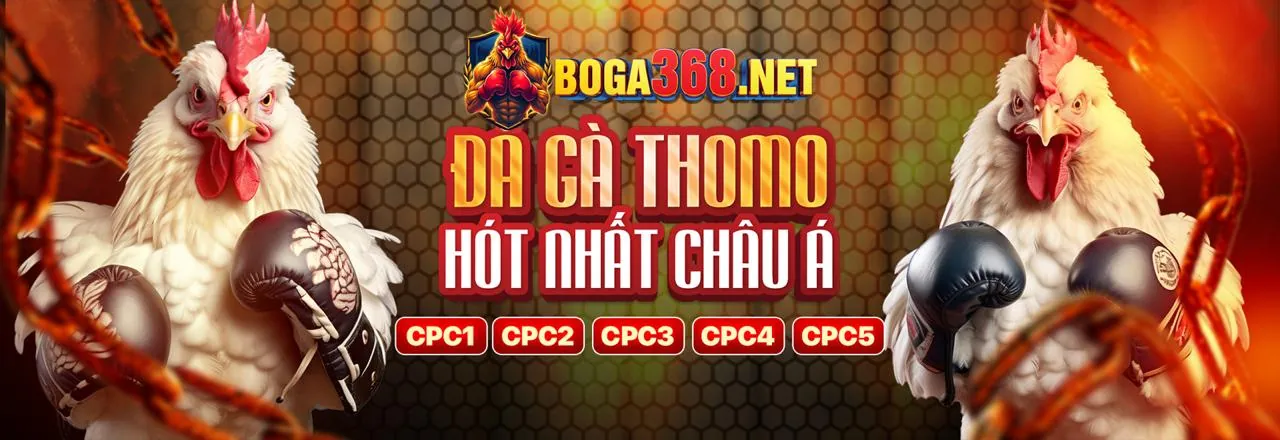 Ứng dụng i9bet vip trên điện thoại di động